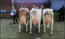 bedrijfsgroep 2014